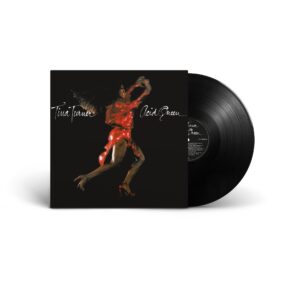 TURNER TINA - ACID QUEEN LP