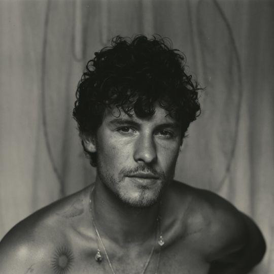 MENDES SHAWN - SHAWN LP