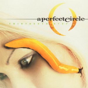 A PERFECT CIRCLE - THIRTEENTH STEP CD
