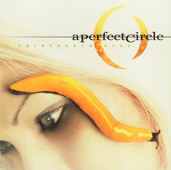 A PERFECT CIRCLE - THIRTEENTH STEP CD