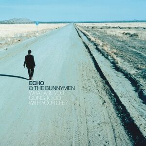 ECHO & THE BUNNYMEN - WHAT ARE YOU GOING TO DO WITH YOUR LIFE clear vinyl LP