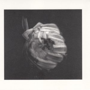 A SWARM OF THE SUN - AN EMPIRE CD