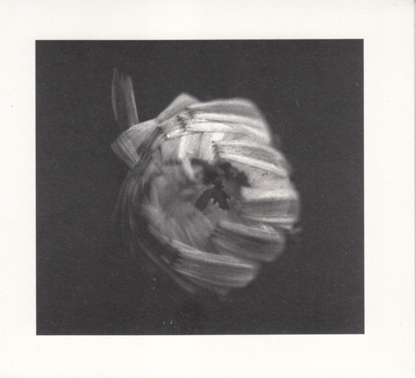 A SWARM OF THE SUN - AN EMPIRE CD