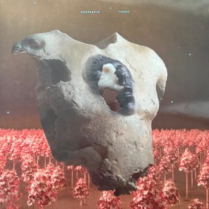 SOAP & SKIN - TORSO LP2