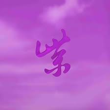 STONE TEMPLE PILOTS - PURPLE RARITIES purple vinyl EXPECTATIONS RSD BF 2024 LP2