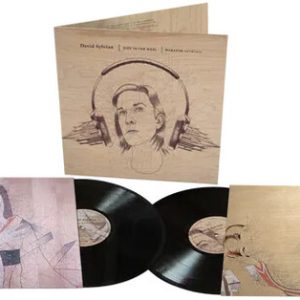 SYLVIAN DAVID - DIED IN THE WOOL LP2