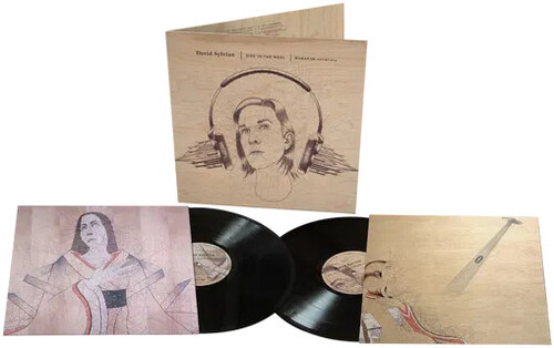 SYLVIAN DAVID - DIED IN THE WOOL LP2