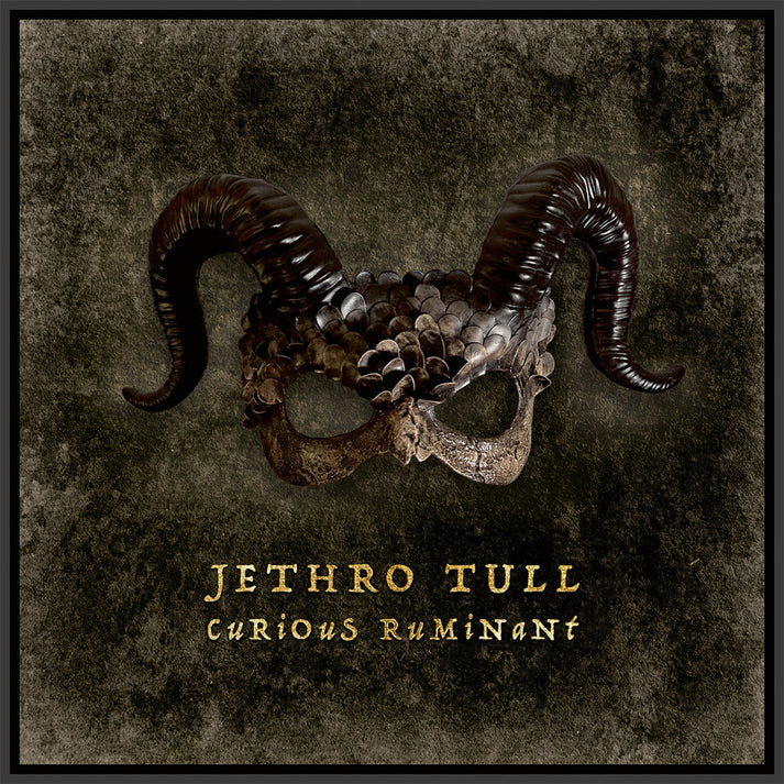 JETHRO TULL - CURIOUS RUMINANT CD
