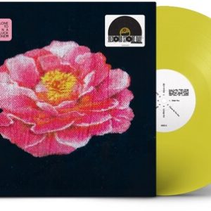 POST MALONE - TRIBUTE TO NIRVANA RSD 2025 coloured vinyl LP