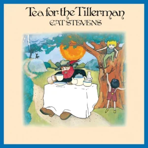 STEVENS CAT - TEA FOR THE TILLERMAN CD