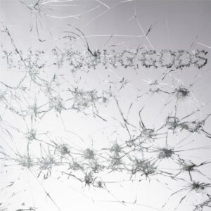 YOUNG GODS - APPEAR DISAPPEAR CD