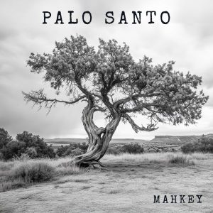 MAHKEY - PALO SANTO   CD