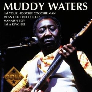 WATERS MUDDY - MUDDY WATERS
