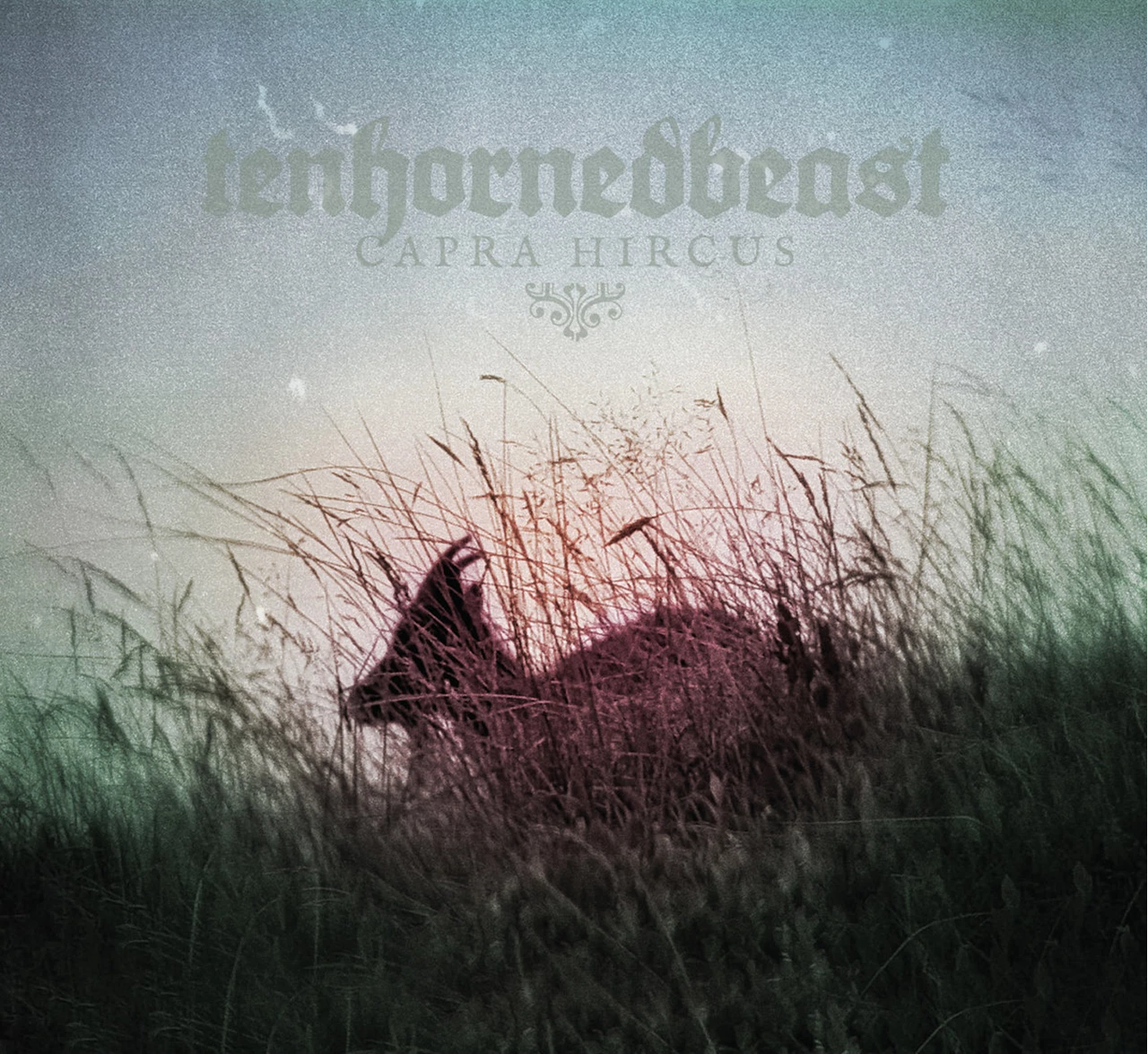 TENHORNEDBEAST - CAPRA HIRCUS CD