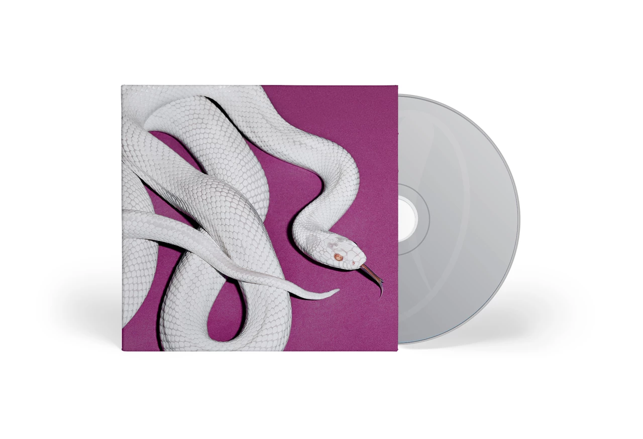 DEFTONES - PRIVATE MUSIC alternate cover CD