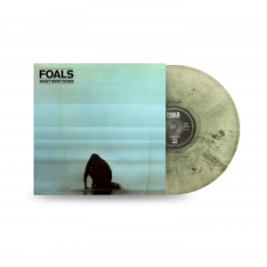 FOALS - WHAT WENT DOWN LP 10th anniversary LP colored vinyl