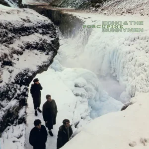 ECHO & THE BUNNYMEN - PORCUPINE CD