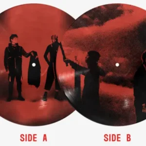 TWENTY ONE PILOTS - BREACH picture disc LP