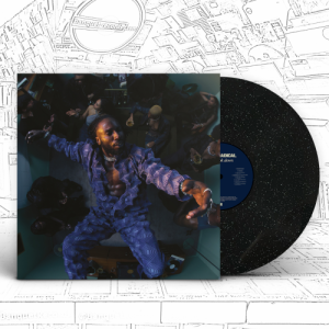 RADICAL KOJEY - DON'T LOOK DOWN CD