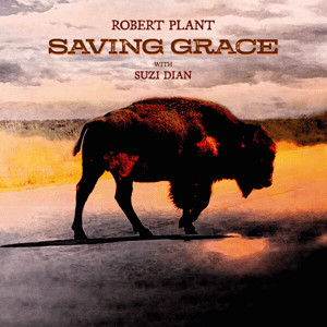 PLANT ROBERT - SAVING GRACE CD