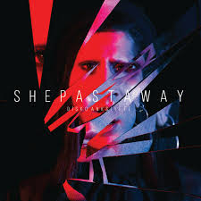 SHE PAST AWAY - DISCO ANKSIYETE LP