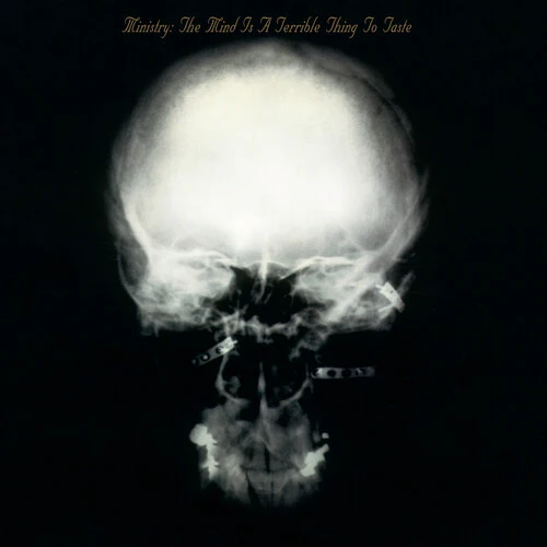 MINISTRY - MIND IS A TERRIBLE THING TO TASTE LP2