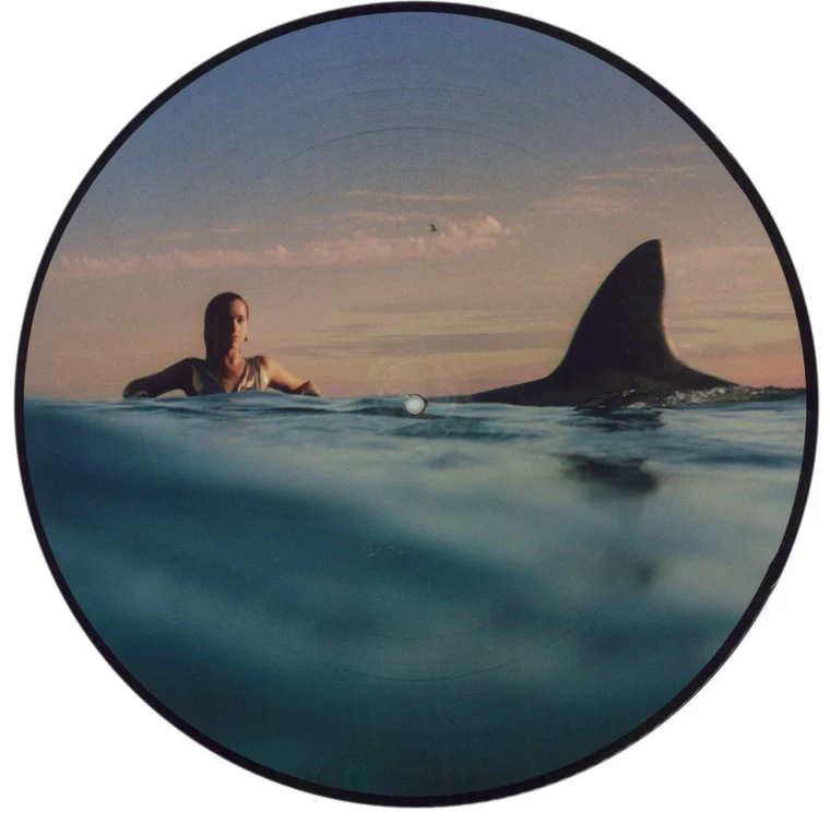 LIPA DUA - RADICAL OPTIMISM picture disc LP