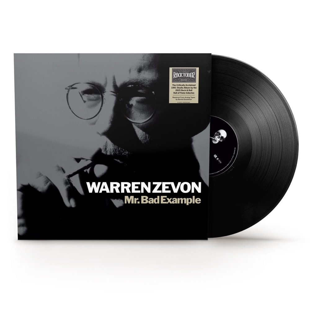 ZEVON WARREN - MR. BAD EXAMPLE LP