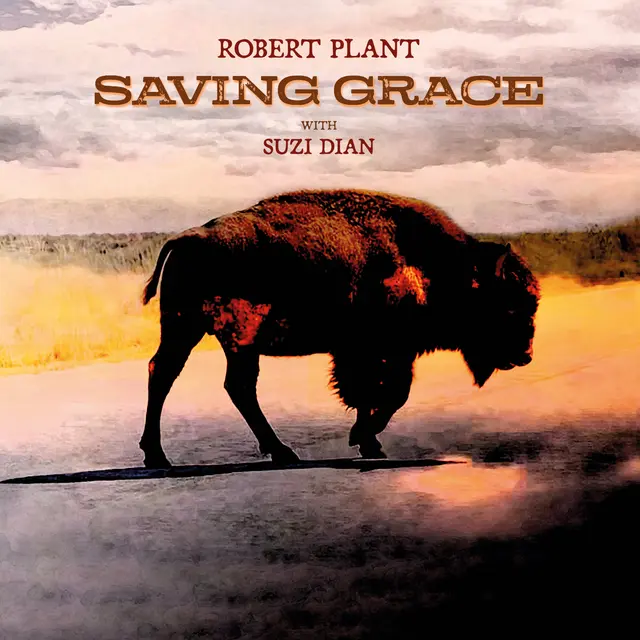 PLANT ROBERT - SAVING GRACE LP