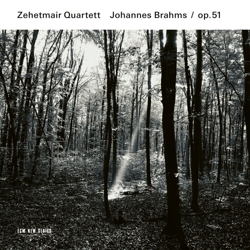ZEHETMAIR QUARTETT - STREICHQUARTTE OP. 51 CD