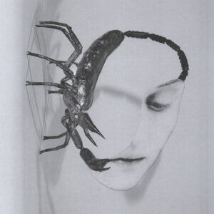 TORTOISE - TOUCH LP