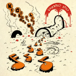 KING GIZZARD & LIZARD WIZARD - GUMBOOT SOUP bio vinyl LP