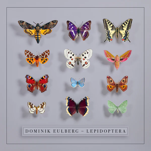EULBER DOMINIK - LEPIDOPTERA LP2