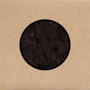SWANS - BIRTHING CD2
