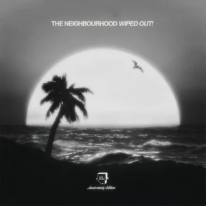 NEIGHBOURHOOD - WIPED OUT! 10th anniversary LP2