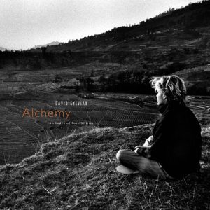 SYLVIAN DAVID - ALCHEMY AN INDEX OF POSSIBILITES corona gold opaque red vinyl LP