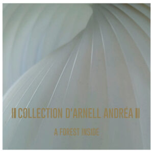 COLLECTION D'ARNELL ANDREA - A FOREST INSIDE LP