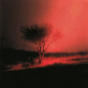 JOJI - PISS IN THE WIND LP