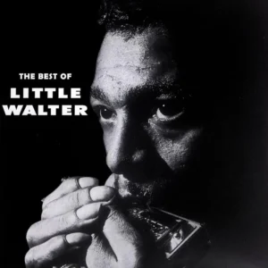 WALTER LITTLE - BEST OF LP
