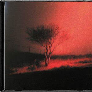 JOJI - PISS IN THE WIND CD