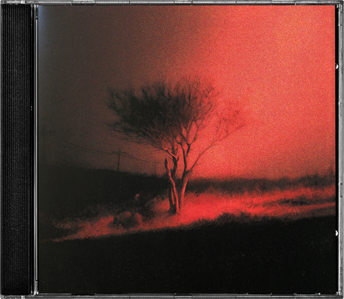 JOJI - PISS IN THE WIND CD