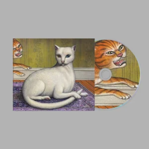 MITSKI - NOTHING'S ABOUT TO HAPPEN TO ME CD