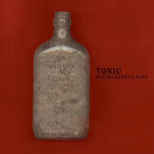 MEDESKI MARTIN & WOOD - TONIC LP2