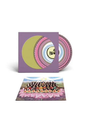 HARRISON GEORGE - DARK HORSE zoetrope disc RSD 2026 LP