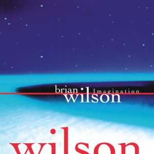 WILSON BRIAN - IMAGINATION RSD 2026 LP