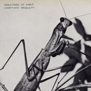 BARNETT COURTNEY - CREATURE OF HABBIT caramel vinyl LP