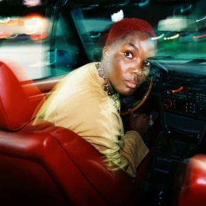 PARKS ARLO - AMBIGOUS DESIRE LP