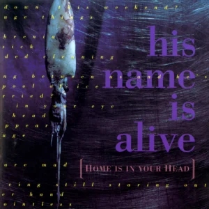 HIS NAME IS ALIVE - HOME IS IN YOUR HEAD CD