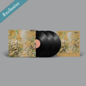 ANDERSON LAURIE & SEXMOB - LET X=X LP3