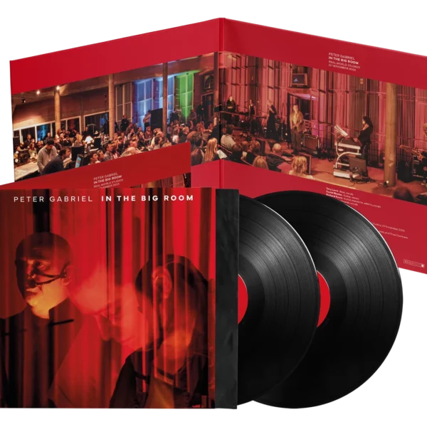 GABRIEL PETER - IN THE BIG ROOM LP2